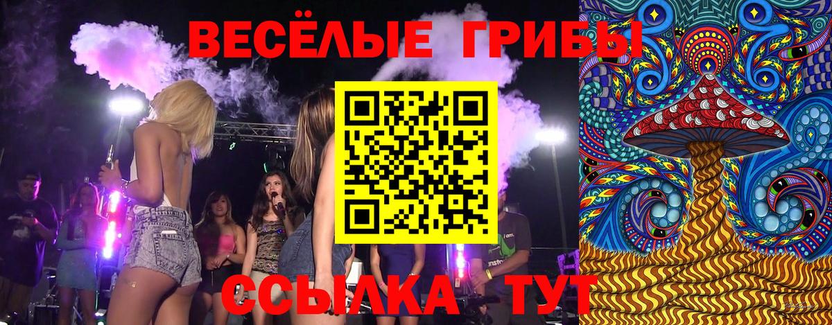 Псилоцибиновые грибы Cubensis Подольск